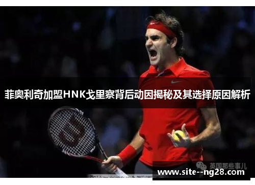 菲奥利奇加盟HNK戈里察背后动因揭秘及其选择原因解析 菲奥利奇加盟HNK戈里察背后动因揭秘及其选择原因解析