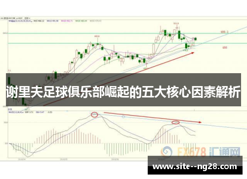 谢里夫足球俱乐部崛起的五大核心因素解析 谢里夫足球俱乐部崛起的五大核心因素解析