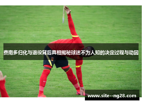 费南多归化与退役背后真相揭秘球迷不为人知的决定过程与动因 费南多归化与退役背后真相揭秘球迷不为人知的决定过程与动因