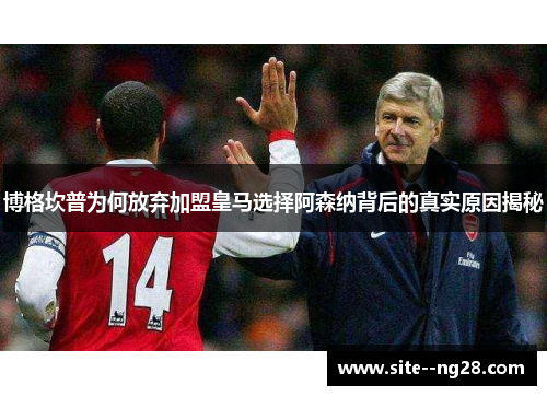 博格坎普为何放弃加盟皇马选择阿森纳背后的真实原因揭秘 博格坎普为何放弃加盟皇马选择阿森纳背后的真实原因揭秘