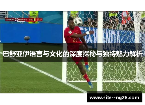 巴舒亚伊语言与文化的深度探秘与独特魅力解析