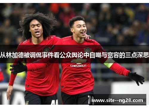 从林加德被调侃事件看公众舆论中自嘲与宽容的三点深思 从林加德被调侃事件看公众舆论中自嘲与宽容的三点深思