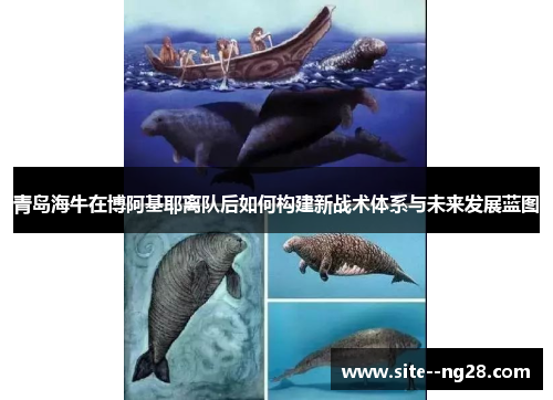 青岛海牛在博阿基耶离队后如何构建新战术体系与未来发展蓝图 青岛海牛在博阿基耶离队后如何构建新战术体系与未来发展蓝图