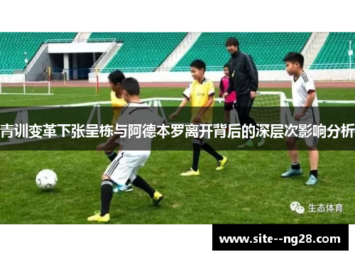 青训变革下张呈栋与阿德本罗离开背后的深层次影响分析