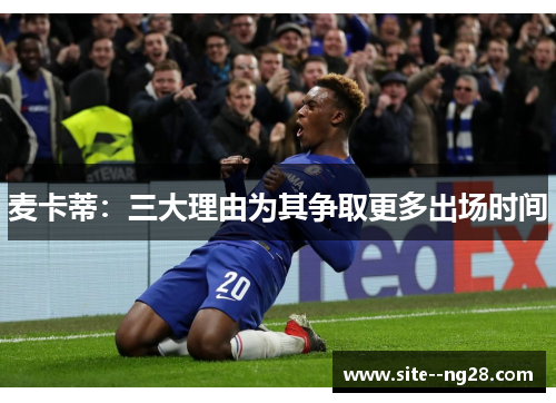 麦卡蒂：三大理由为其争取更多出场时间