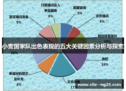 小麦国家队出色表现的五大关键因素分析与探索