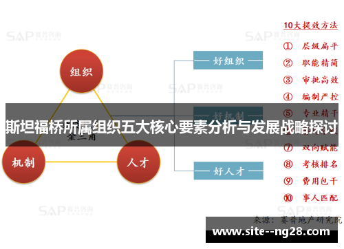 斯坦福桥所属组织五大核心要素分析与发展战略探讨 斯坦福桥所属组织五大核心要素分析与发展战略探讨