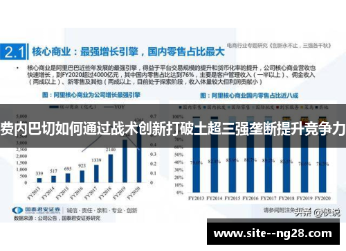 费内巴切如何通过战术创新打破土超三强垄断提升竞争力 费内巴切如何通过战术创新打破土超三强垄断提升竞争力