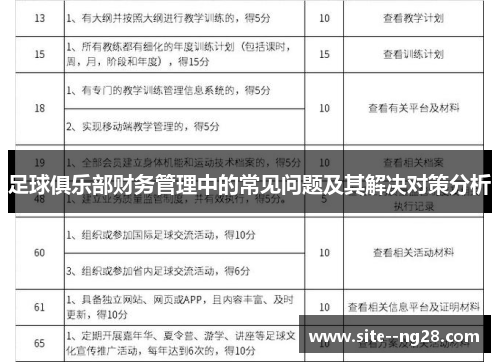 足球俱乐部财务管理中的常见问题及其解决对策分析 足球俱乐部财务管理中的常见问题及其解决对策分析