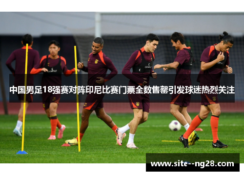 中国男足18强赛对阵印尼比赛门票全数售罄引发球迷热烈关注