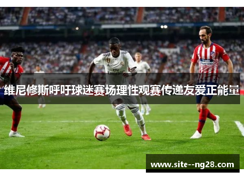 维尼修斯呼吁球迷赛场理性观赛传递友爱正能量 维尼修斯呼吁球迷赛场理性观赛传递友爱正能量