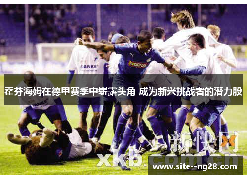 霍芬海姆在德甲赛季中崭露头角 成为新兴挑战者的潜力股