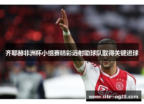 齐耶赫非洲杯小组赛精彩远射助球队取得关键进球