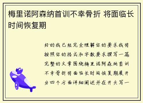 梅里诺阿森纳首训不幸骨折 将面临长时间恢复期