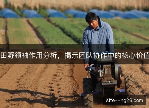 田野领袖作用分析,揭示团队协作中的核心价值 田野领袖作用分析,揭示团队协作中的核心价值